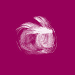 Building the Golden Body™ image