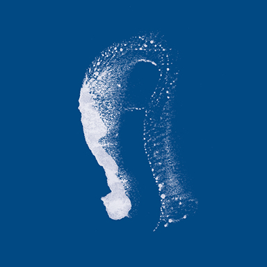 Audio—Track 05/12—Life After Death mp3 - Image 2