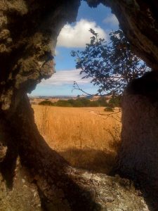 Through_the_Looking_Glass_www.flickr.com:photos:bananajode