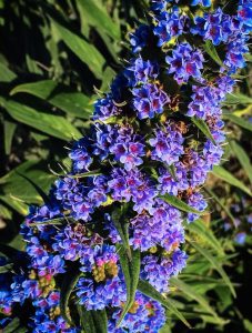 Event Registration Form spray of purple flowers and greens