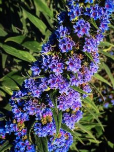 Event Registration Form spray of purple flowers and greens